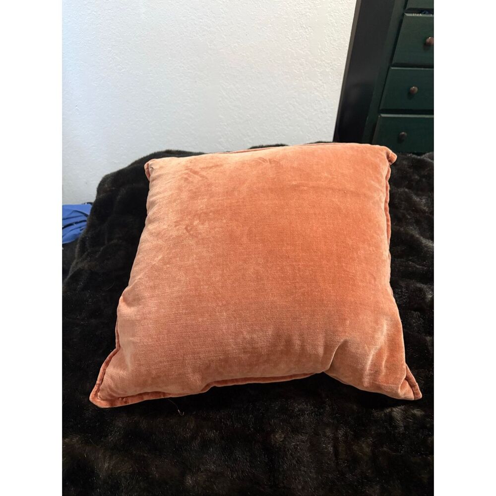 Lot of 2 Arhaus Velvet Trova Pillow Fall Burnt orange throw 22x22